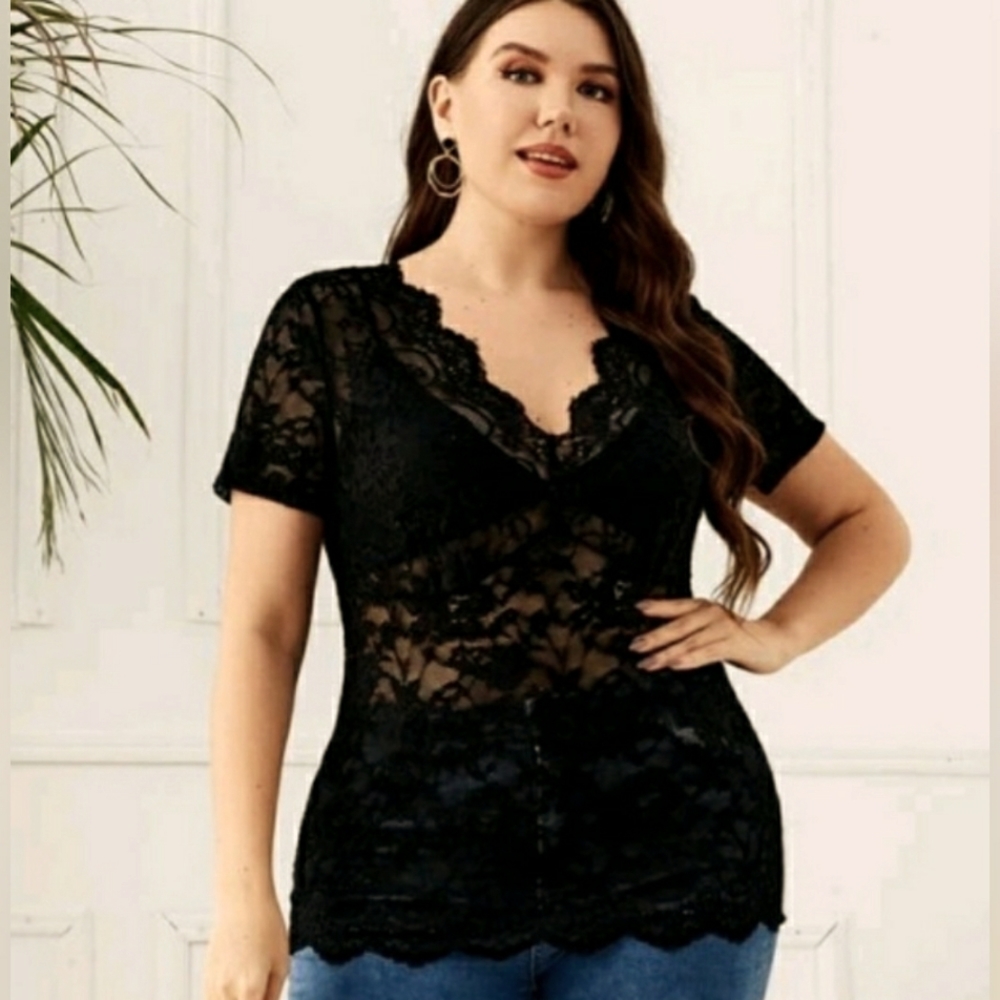 New! Stretch lace, short sleeve, scalloped lace V-neck blouse.